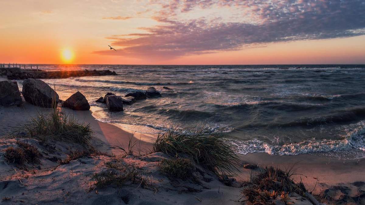 Каникулы на Белосарайской косе: чем привлекает лебединый край