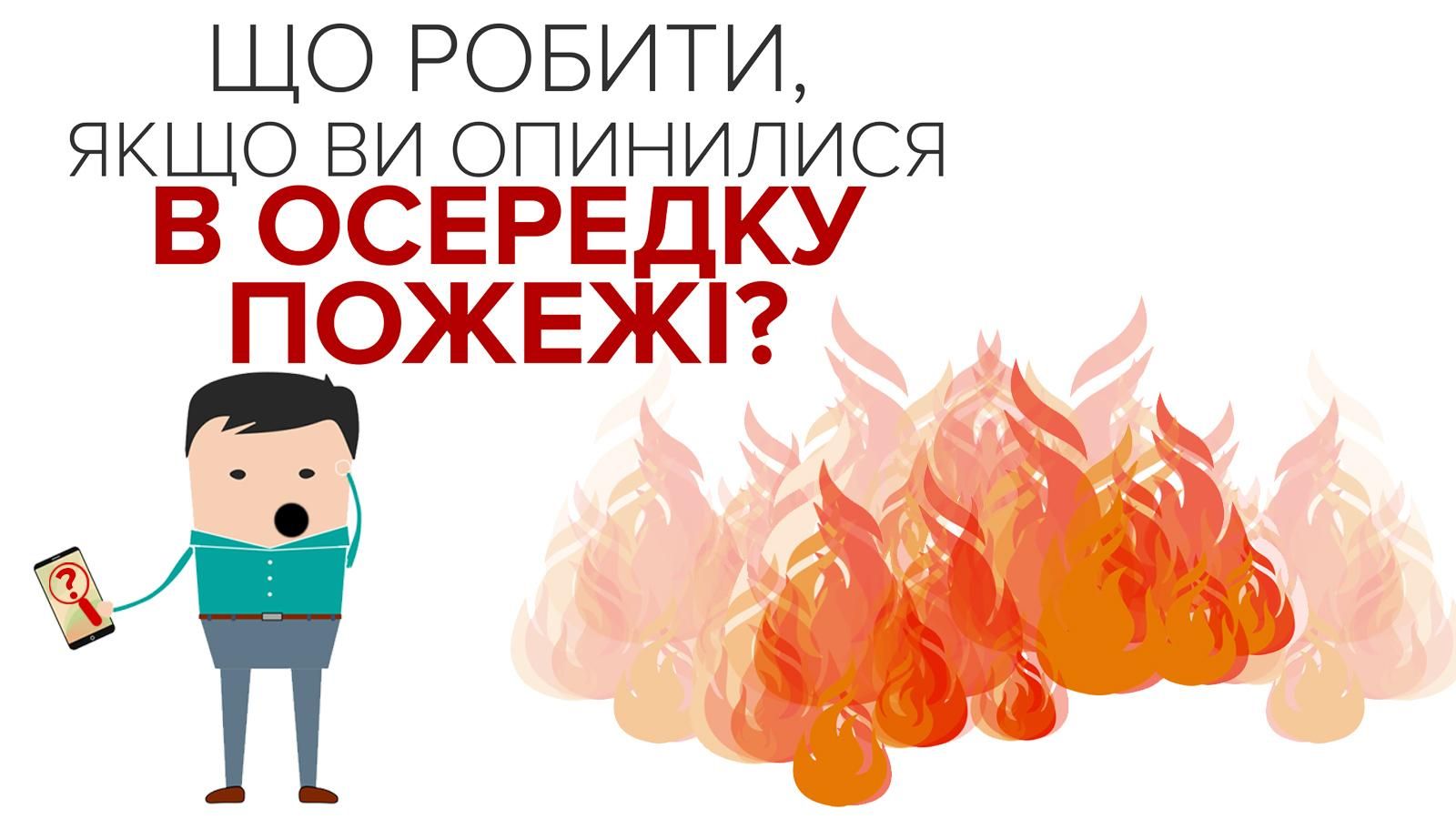 Как спасти свою жизнь и лес во время пожара: понятная пошаговая инструкция Как спасти свою жизнь и лес во время пожара: понятная пошаговая инструкция