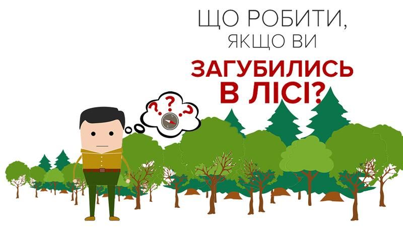 Що робити, якщо ви заблукали у лісі: інструкція, яка може врятувати життя Що робити, якщо ви заблукали у лісі: інструкція, яка може врятувати життя