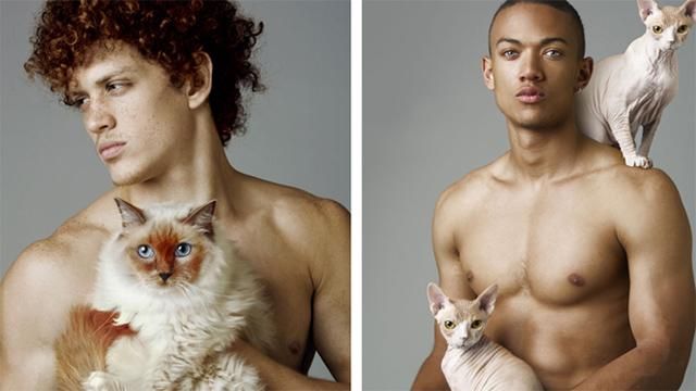 Фотограф поєднав у кадрі спокусливих чоловіків та котів 