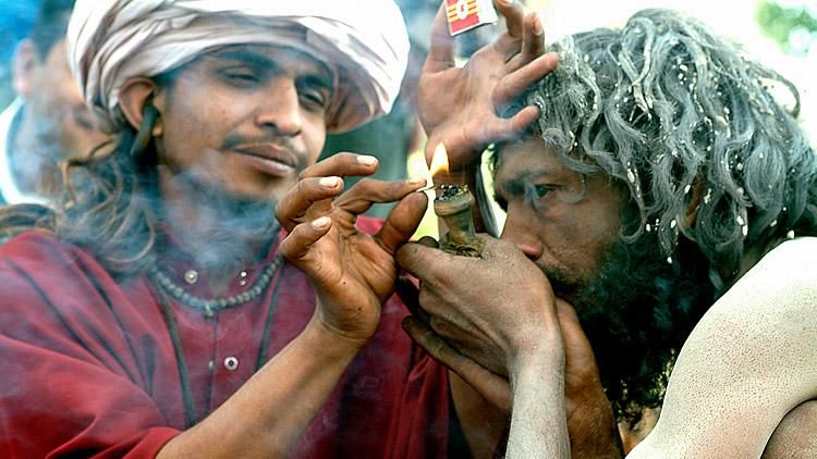Як живуть села, які торгують марихуаною