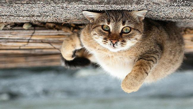 Украинец покорил сеть фантастическими фото