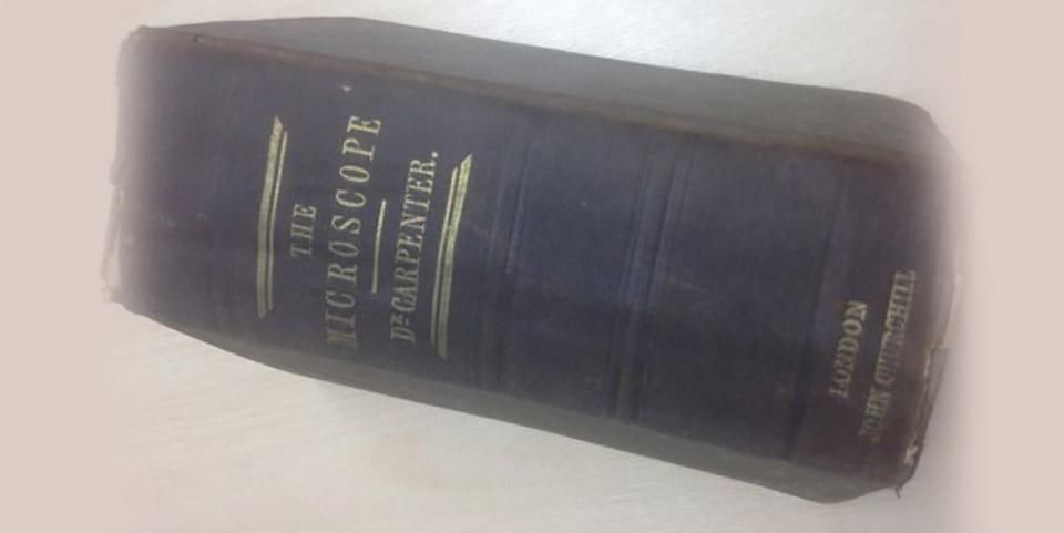 В Британии книгу вернули в библиотеку через 120 лет В Британии книгу вернули в библиотеку через 120 лет