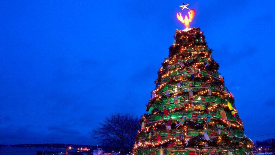 Топ-13 найдивніших ялинок світу: дивовижні фото Топ-13 найдивніших ялинок світу: дивовижні фото