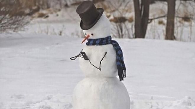 Эволюция снеговиков: такими вы их еще не видели Эволюция снеговиков: такими вы их еще не видели