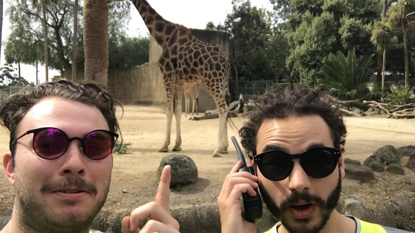 Як безкоштовно потрапити у кінотеатр, зоопарк і на концерт Coldplay: курйозна історія з жилетом Як безкоштовно потрапити у кінотеатр, зоопарк і на концерт Coldplay: курйозна історія з жилетом