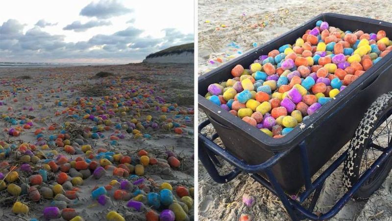 Подарок моря: немецкий пляж щедро засыпало "киндер-сюрпризами"