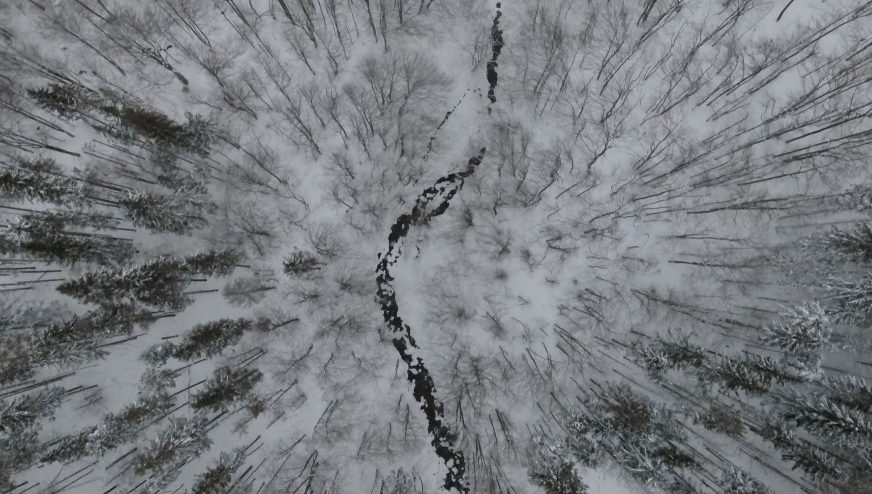 Краса засніжених Карпат: блогер показав видовищне відео Краса засніжених Карпат: блогер показав видовищне відео