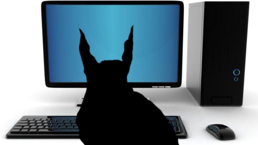Нелюдські злочини: хто небезпечніший для сучасних технологій, ніж хакери Нелюдські злочини: хто небезпечніший для сучасних технологій, ніж хакери