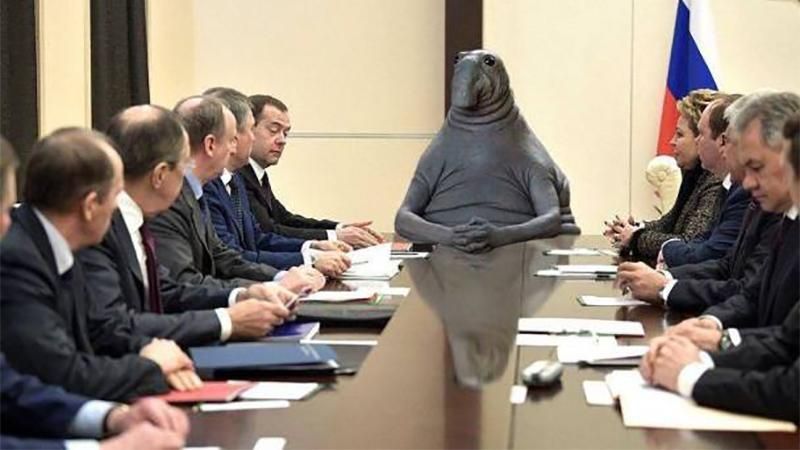 "Ждун": странное существо, от которого в восторге интернет "Ждун": странное существо, от которого в восторге интернет