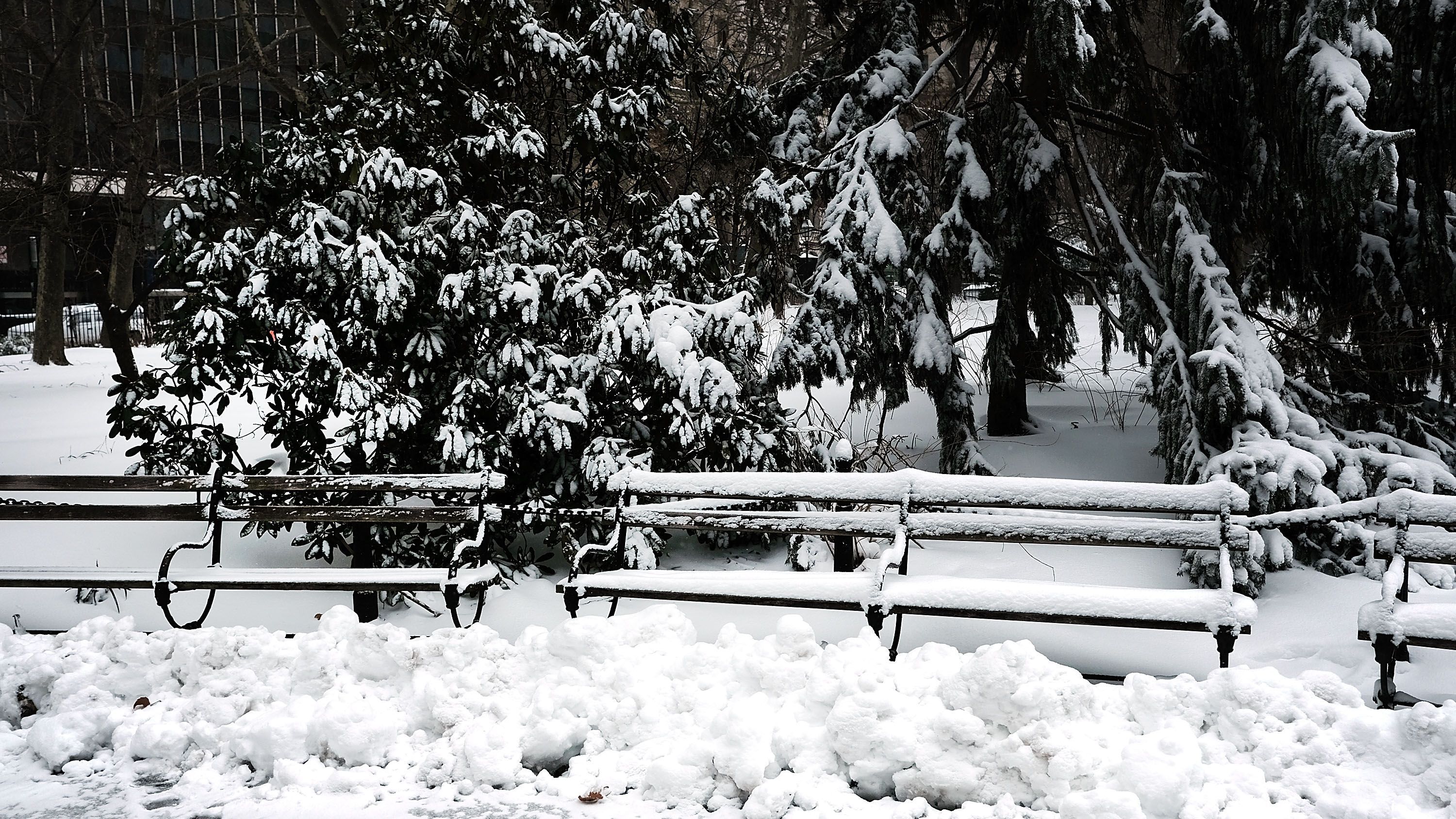 Нью-Йорк стал сНЕЖНЫМ городом: волшебные фото Нью-Йорк стал сНЕЖНЫМ городом: волшебные фото