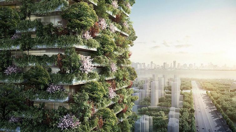 В Китае построят невероятные дома-леса В Китае построят невероятные дома-леса