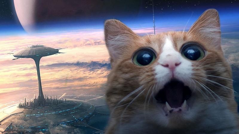 Кого відправити досліджувати нові планети? Цікаве опитування Кого відправити досліджувати нові планети? Цікаве опитування