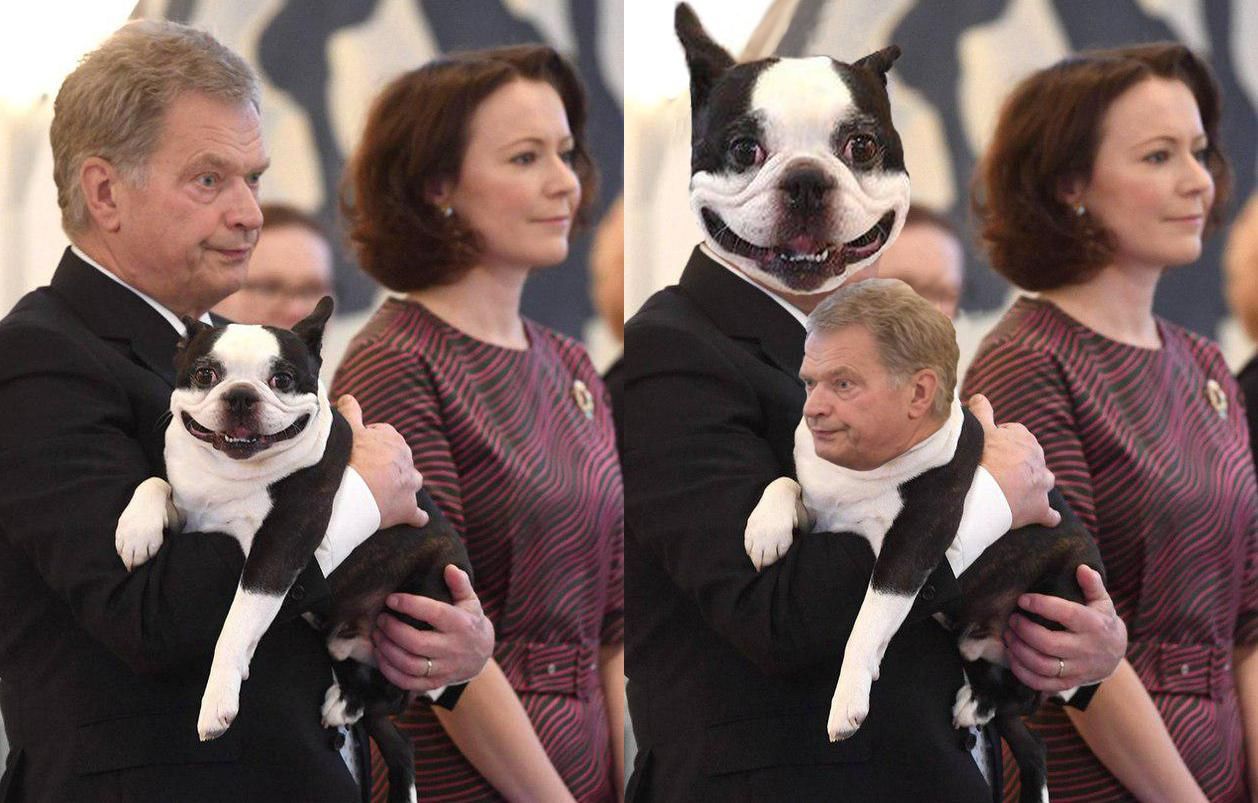 Собака президента Финляндии покорила сеть: фото, которые поднимают настроение