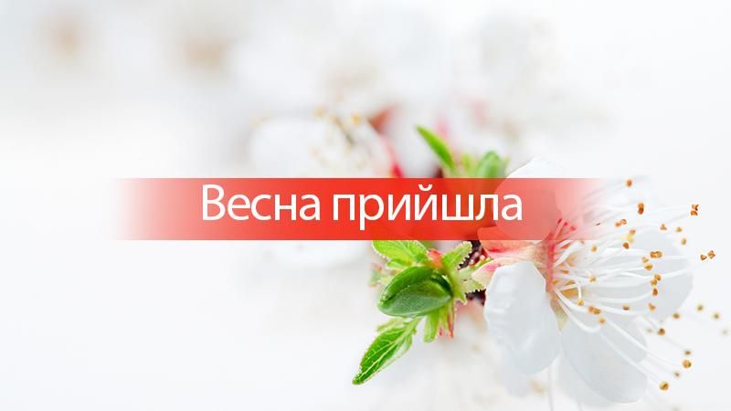 Как звезды празднуют первый день весны: опубликовано фото Как звезды празднуют первый день весны: опубликовано фото