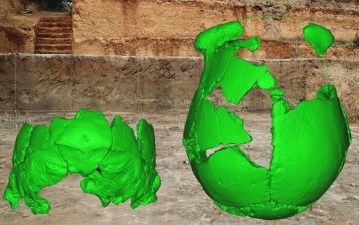 Археологи обнаружили останки ранее неизвестных предков людей Археологи обнаружили останки ранее неизвестных предков людей