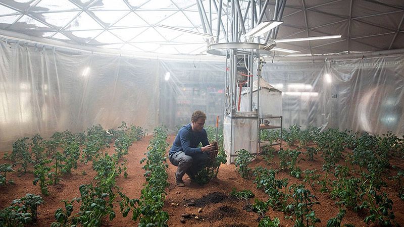 На Марсе можно выращивать картофель, — выводы ученых На Марсе можно выращивать картофель, — выводы ученых