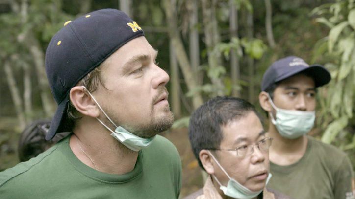 День Землі: голлівудські зірки, які піклуються про природу День Землі: голлівудські зірки, які піклуються про природу