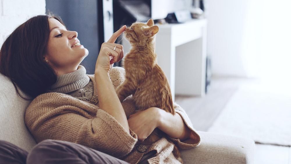 Ученые исследовали, действительно ли коты любят своих владельцев