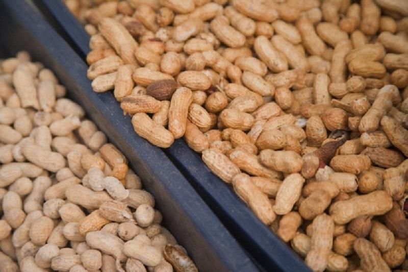 Ученые назвали неожиданную пользу от арахиса
