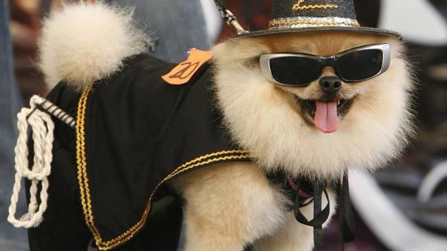 От бронежилетов до очков Гарри Поттера: список утерянных вещей клиентов в Uber От бронежилетов до очков Гарри Поттера: список утерянных вещей клиентов в Uber