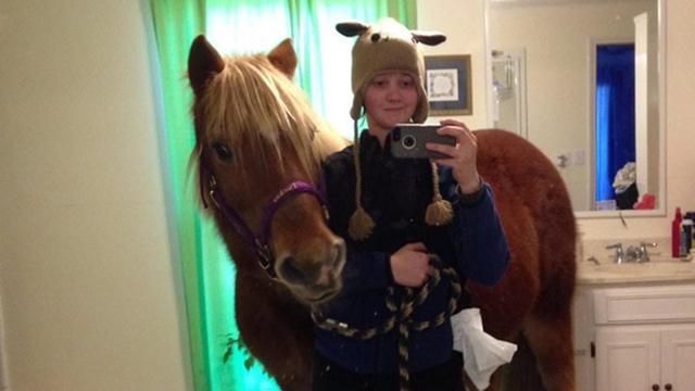 Девочка привела в дом коня ради селфи: курьезное фото