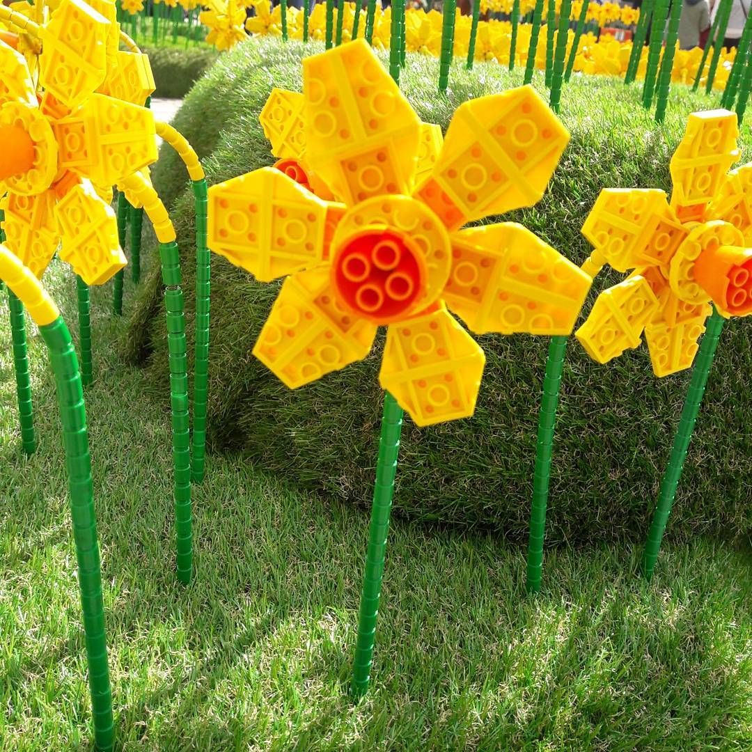 В Британии "расцвело" поле из Lego-нарциссов В Британии "расцвело" поле из Lego-нарциссов