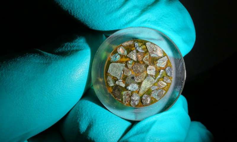 Ученые под Мариинской впадиной нашли жизнь Ученые под Мариинской впадиной нашли жизнь