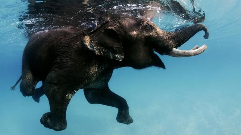 Названо найкращі пляжі Азії Названо найкращі пляжі Азії