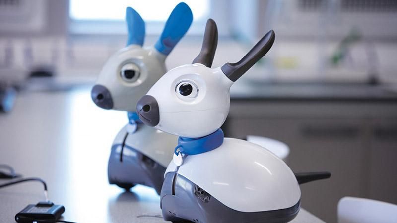 Британские ученые разработали домашнее животное – робота