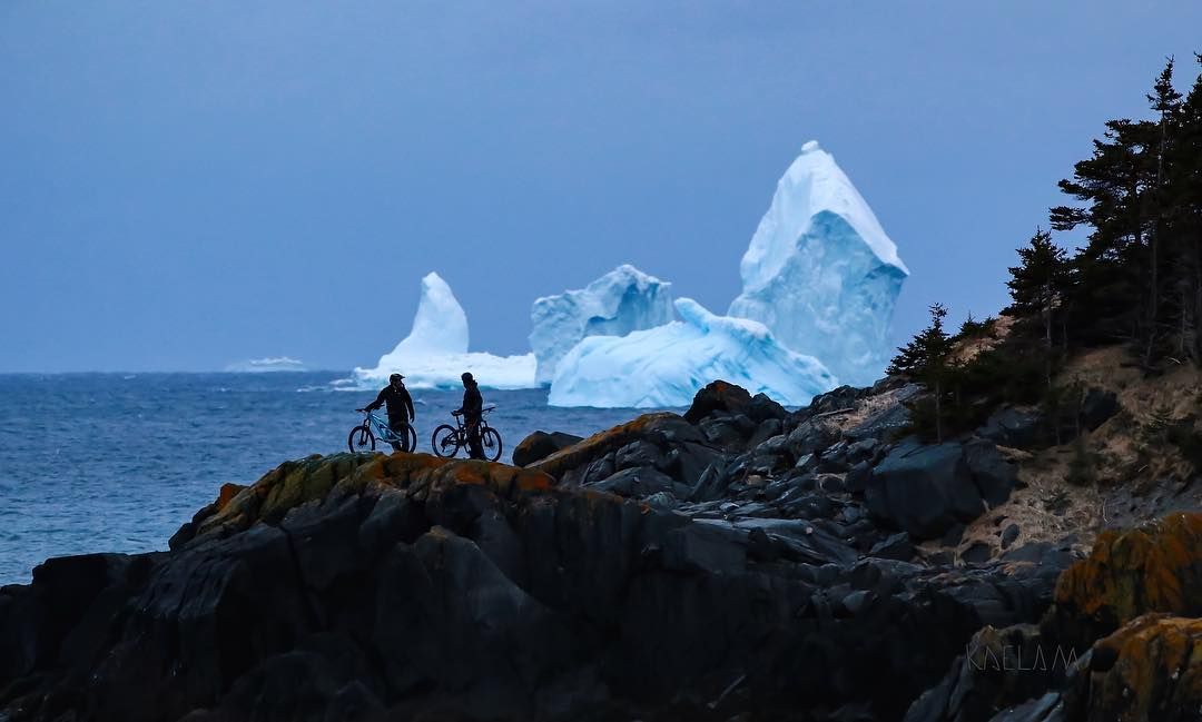 В канадське село приплив гігантський айсберг: неймовірні фото із соцмереж