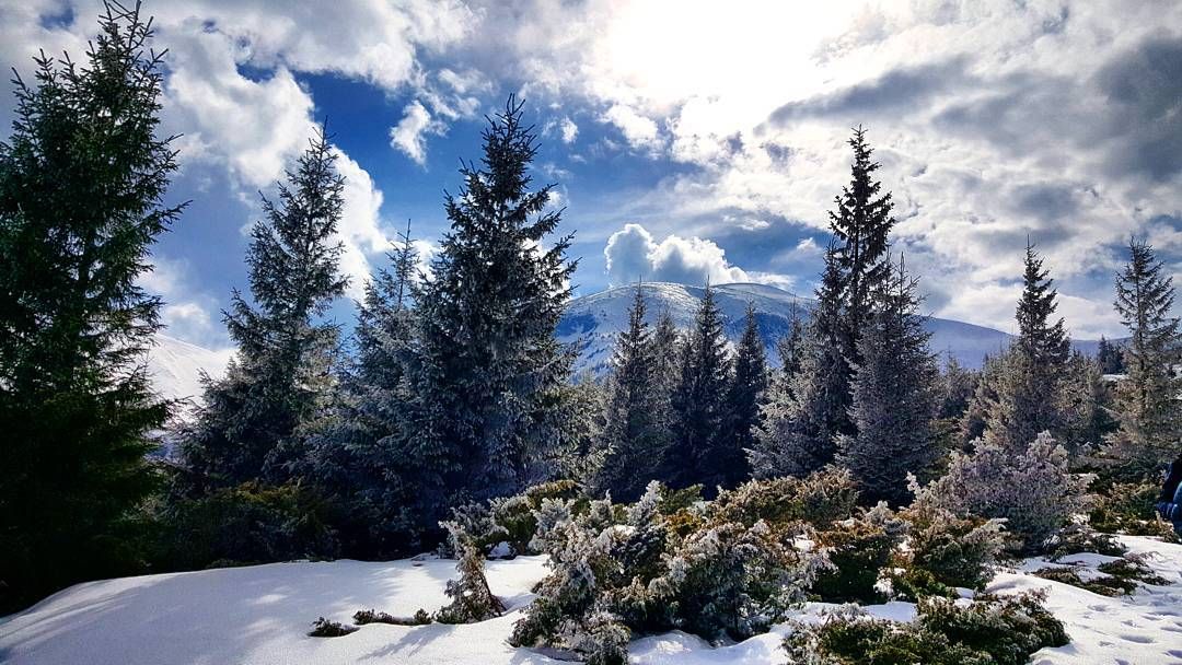 Перезимувати весну: фото користувачів із засніжених Карпат Перезимувати весну: фото користувачів із засніжених Карпат
