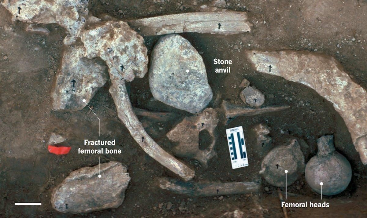 Первые люди в Америке появились на 100 тысяч лет раньше, чем считалось