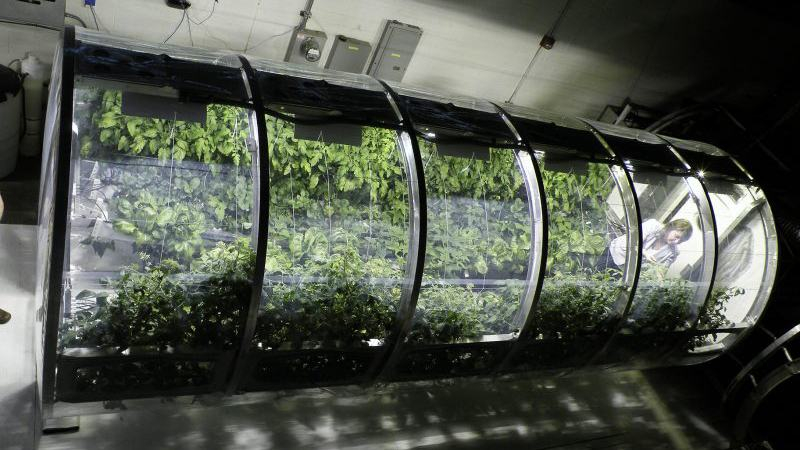 В NASA создали теплицу для астронавтов, которые будут жить на Марсе