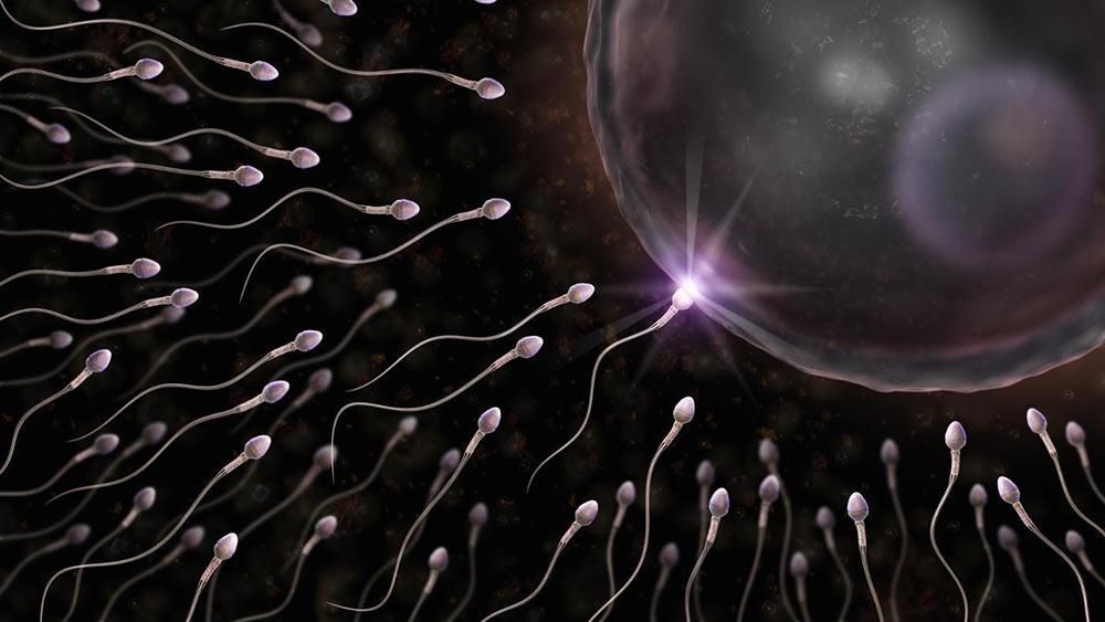 Вчені знайшли незвичайну властивість сперматозоїдів