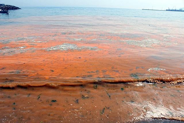 У Туреччині море стало помаранчевим: яскраві фото У Туреччині море стало помаранчевим: яскраві фото