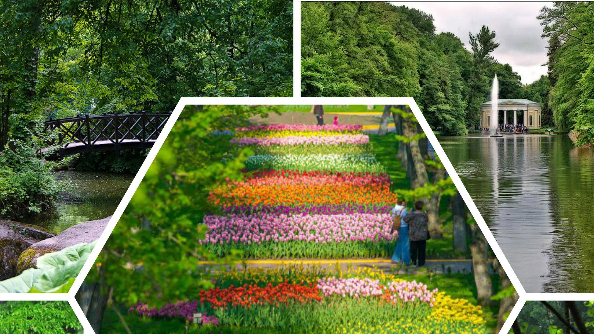 Сказочные уголки Украины, которые стоит посетить на выходных Сказочные уголки Украины, которые стоит посетить на выходных