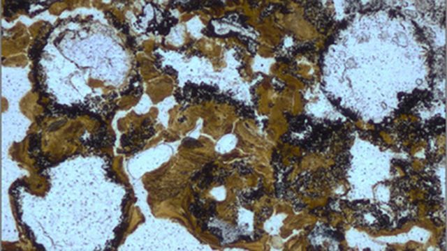 Вчені знайшли найдревніші сліди життя на Землі 