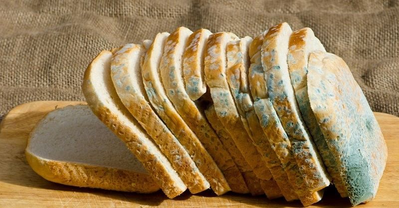 Чи безпечно їсти хліб з пліснявою: спеціалісти пояснили
