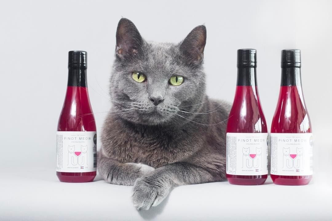 Для котиків в США створили вино