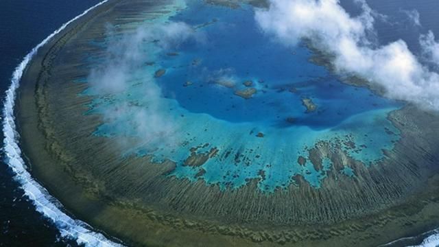 Великий Бар'єрний Риф перебуває під загрозою зникнення, – експерти