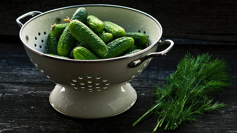 Огуречная диета: простое и вкусное меню