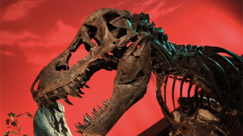 Вчені розповіли, чи можливо воскресити динозаврів