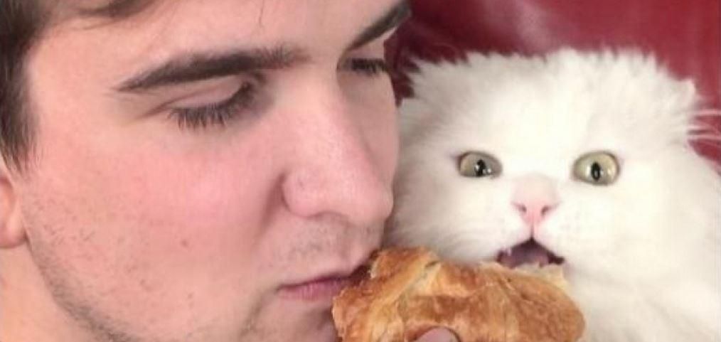 Пользователи без ума от нового вирусного видео: кот, который ест круассаны