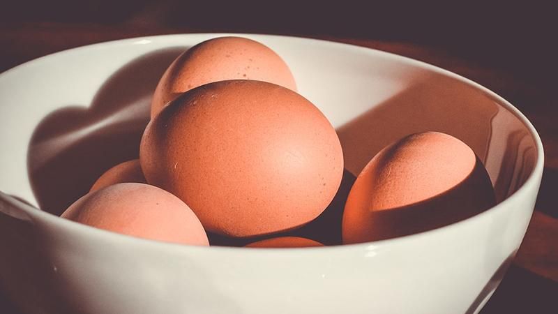 Ученые обнаружили новую пользу от куриных яиц