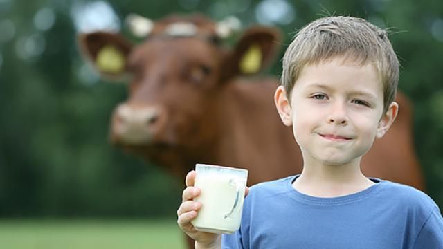 Медики розповіли, як коров'яче молоко впливає на здоров’я дітей 