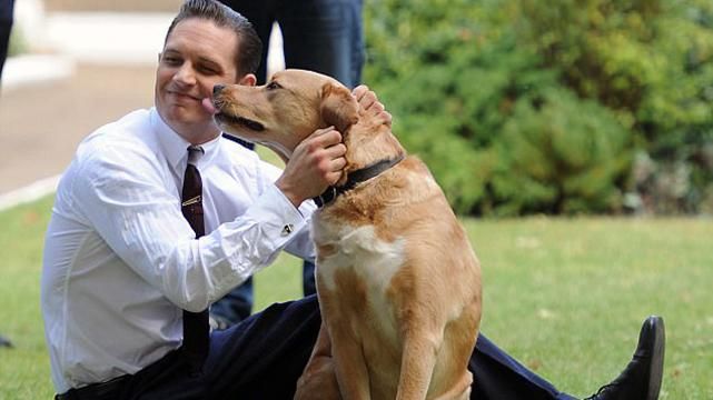 Спасибо за твою любовь, невероятный мальчик: известный актер написал письмо умершей собаке Спасибо за твою любовь, невероятный мальчик: известный актер написал письмо умершей собаке