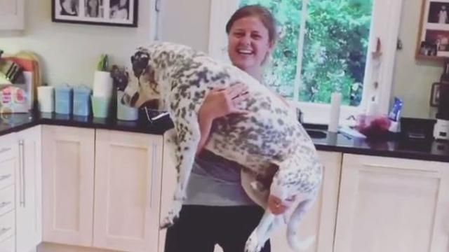 В мережі шаленіють від нового флешмобу: присідання зі своїми собаками В мережі шаленіють від нового флешмобу: присідання зі своїми собаками