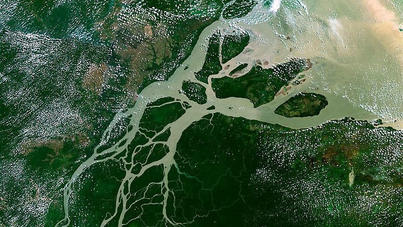Амазонці загрожує тотальне знищення, – вчені 