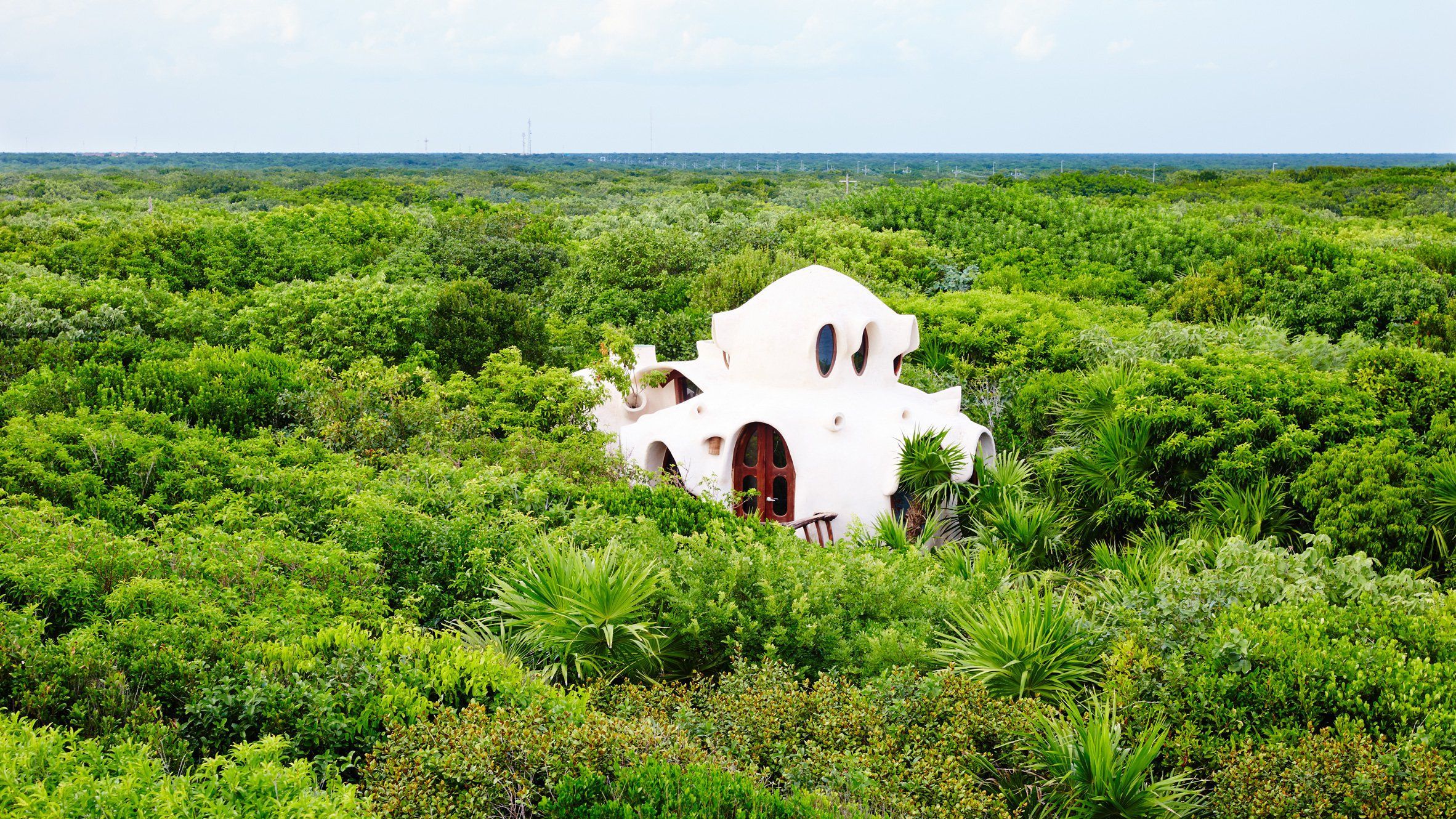 В Мексике построили сказочный отель на дереве посреди джунглей: появились фото